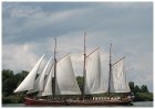 Sailing trip Lelystad - Enkhuizen I