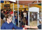 Wijkfeest Slangenbeek zondag