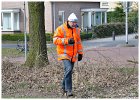 Eierenzoeken Slangenbeek