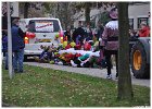 Intocht Sint Nicolaas Slangenbeek