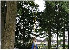 25ste Wijkfeest Slangenbeek Zaterdag