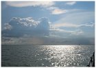 Sailing trip Lelystad - Enkhuizen I