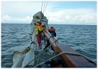 Sailing trip Lelystad - Enkhuizen II