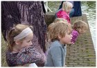 Sailing trip Lelystad - Enkhuizen II
