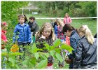 Eieren zoeken Slangenbeek