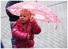 Eieren zoeken 2015