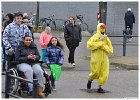 Palmpasen eieren zoeken 2016