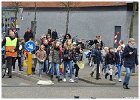 Palmpasen eieren zoeken 2016