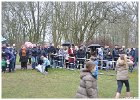 Palmpasen eieren zoeken 2016