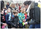 Palmpasen eieren zoeken 2016