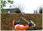 Intocht Sinterklaas Slangenbeek 2016