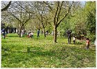 Palmpasen eieren zoeken 2017