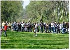 Palmpasen eieren zoeken 2017