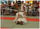 Wijkfeest Slangenbeek 2010