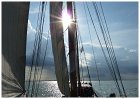 Sailing trip Lelystad - Enkhuizen II